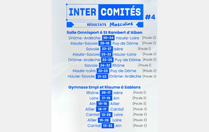 RESULTATS INTERCOMITES AURA HANDBALL A LA SALLE OMNISPORTS
