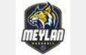MEYLAN HANDBALL -FAR HANDBALL M1