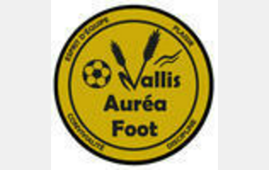 VALLIS AUREA 2 - FC RAMBERTOIS 2